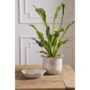 product-268704-1786737749-ACC01-0003319^2